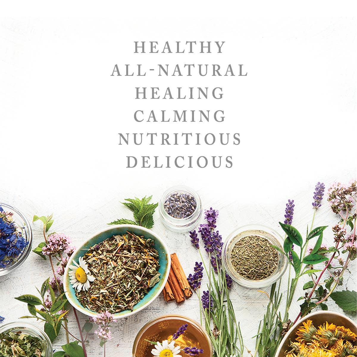 The Tea Can Company - Wholesale Tea Bags - Merry Christmas Nutcracker
Frosted Vanilla Chai Tea3