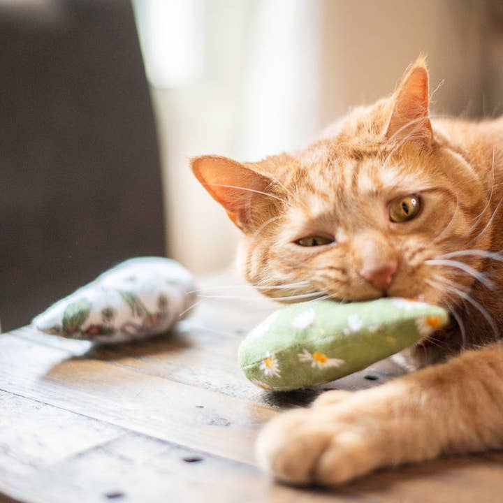 Planet B, Inc. - Wholesale Pet Toy - Cat - Scrap Fabric Cat Toys6