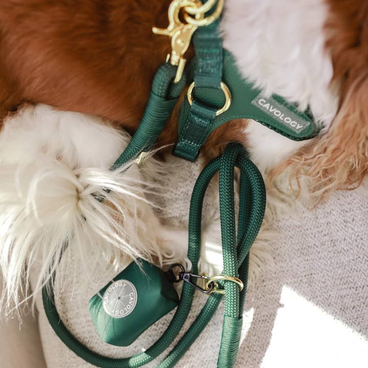 Cavology - Wholesale Pet Harness - Dog - EASY-O STEP IN HARNESS - Forest Green4