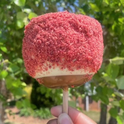 Scooty's Apples LLC - Wholesale Chocolate Covered Sweets - Strawberry Bliss0