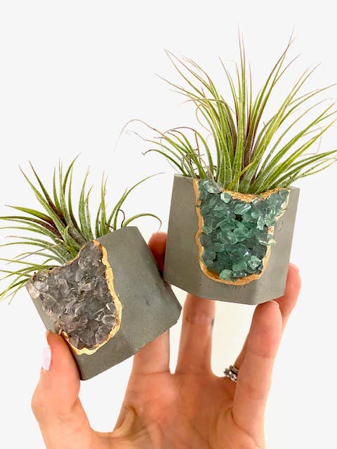 Plant One On Me Designs - Wholesale Plant pot - Geode Planter with Air Plant - Mixed Color - Small Vessel4