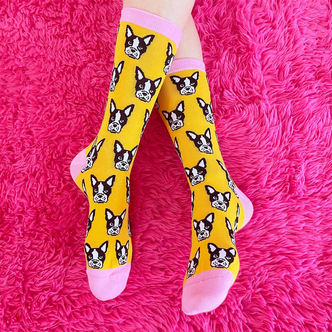Smarty Pants Paper - Wholesale Socks - Women's - Boston Terrier socks1