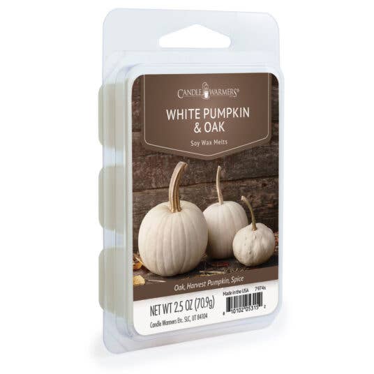 'White Pumpkin & Oak' for wholesale by Heavenly Scents