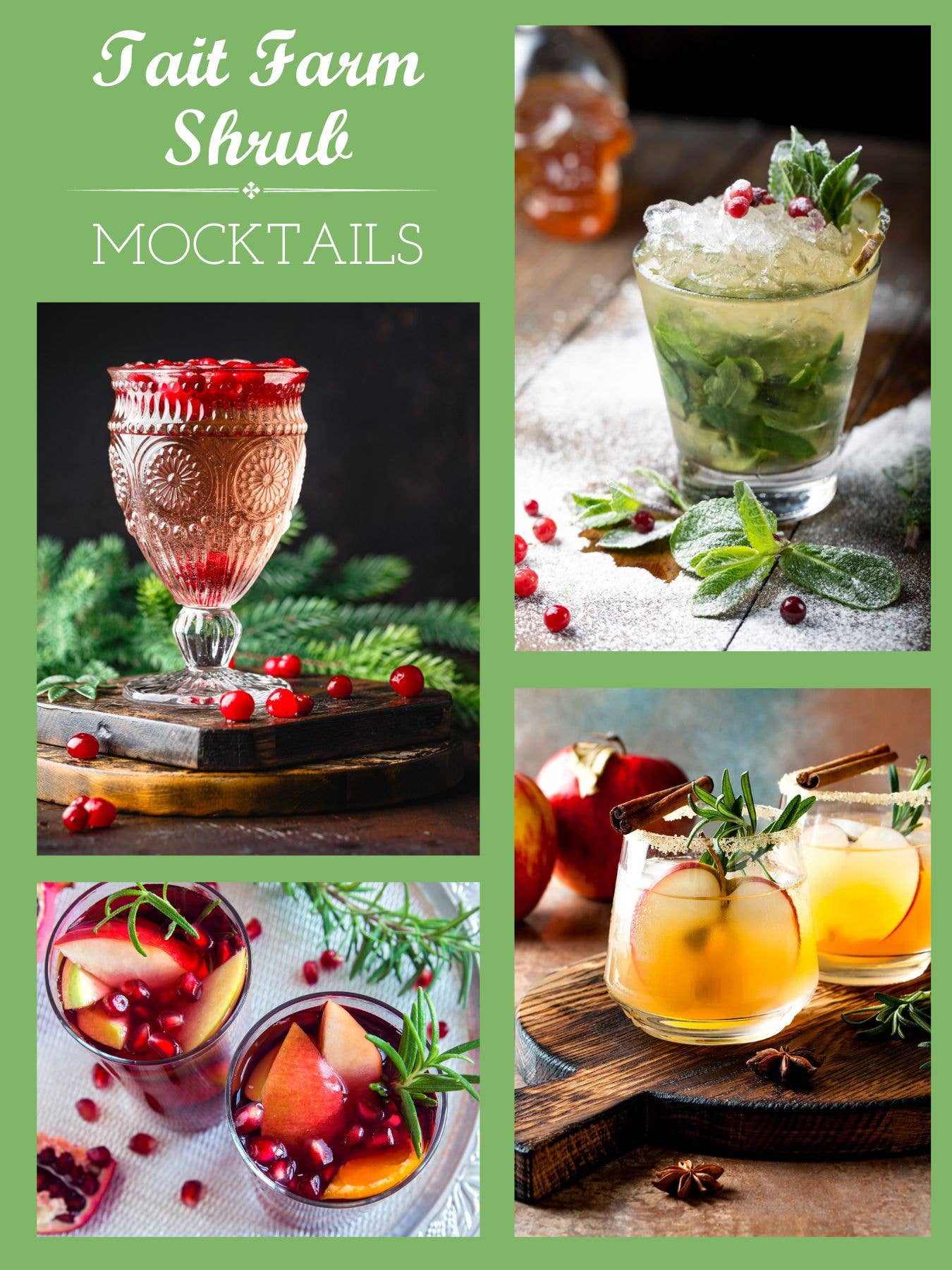 Tait Farm Foods - Vente Mélange/sirop pour cocktails - Gingembre Arbuste6