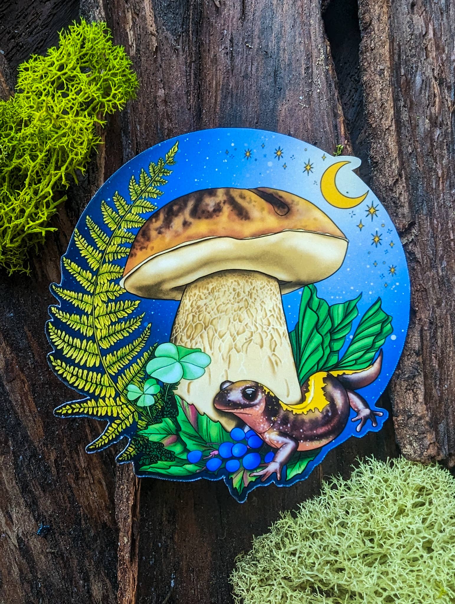 Mushroom Marauder - Vente Autocollant - Autocollant aux champignons porcini et à la salamandre0