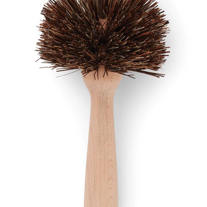Fox Run Brands - Wholesale Cleaning Brush - Fox Run Natural Dish Brush, Bassine, 8.5"