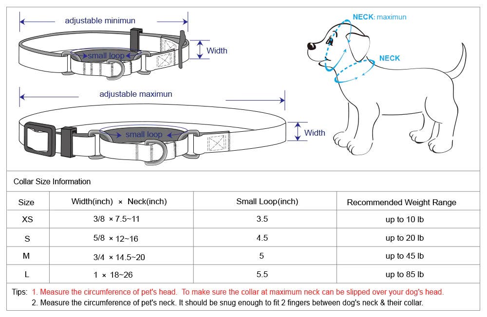 Blueberry Pet – Großhandel Haustierhalsband – Hund – 4 Farben, Klassisches Martingale-Hundehalsband3
