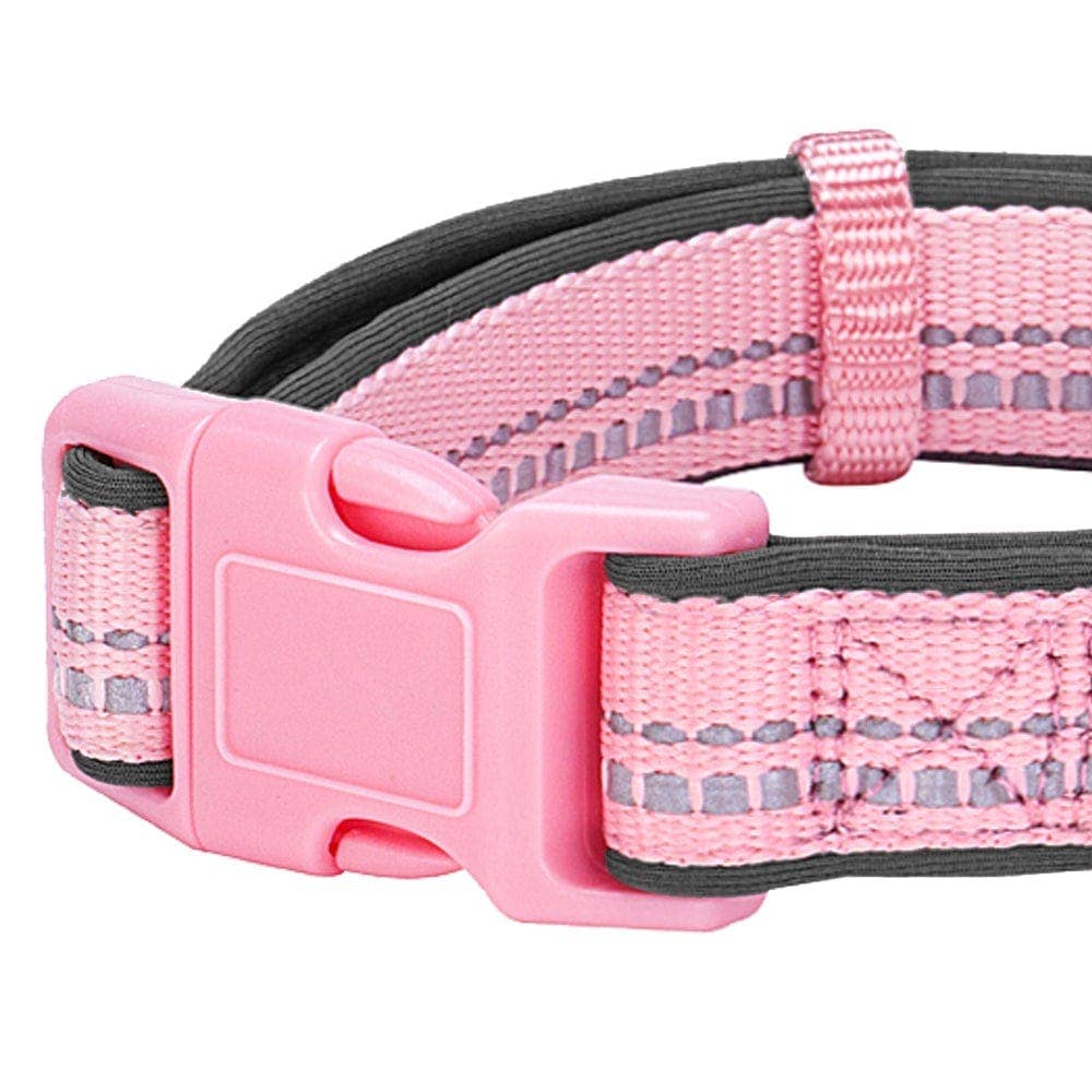 Blueberry Pet - Vente Collier – chien - Collier de sécurité rembourré en néoprène souple réfléchissant 3M55