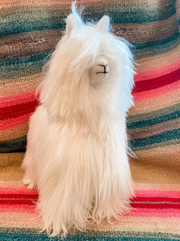 Alpaga poil long de 12 po pour la vente par Asher Market