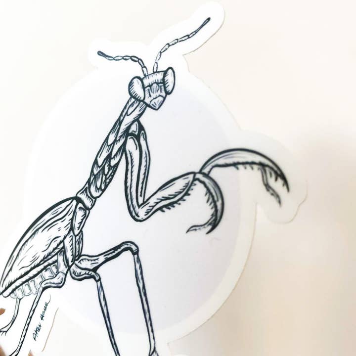 After Hours Creative - Venta al por mayor Pegatina - Pegatina Mantis Rezando2