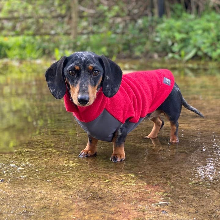 Doghouse - Vendita all'ingrosso Maglione - Cani - Maglione in pile a forma di bassotto con pannello addominale impermeabile