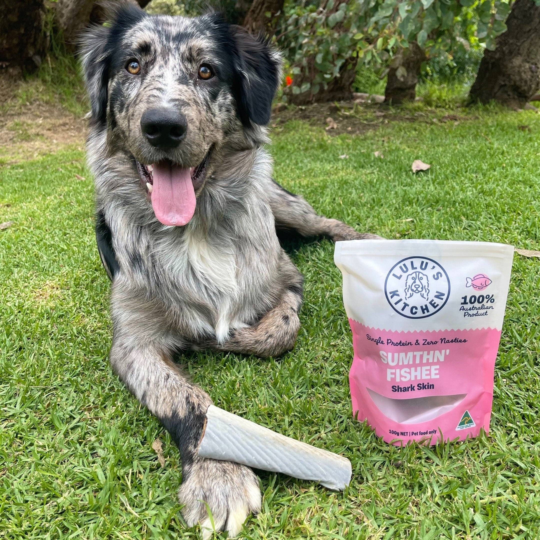 Rover Pet Products - Vente Friandises – chien - Sumthn' Fishee - Peau de requin9