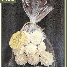 Brinquedo para Pássaros e Pequenos Animais Zinnia Flower 2,36" 8un – Sola por atacado de Caitec Inc