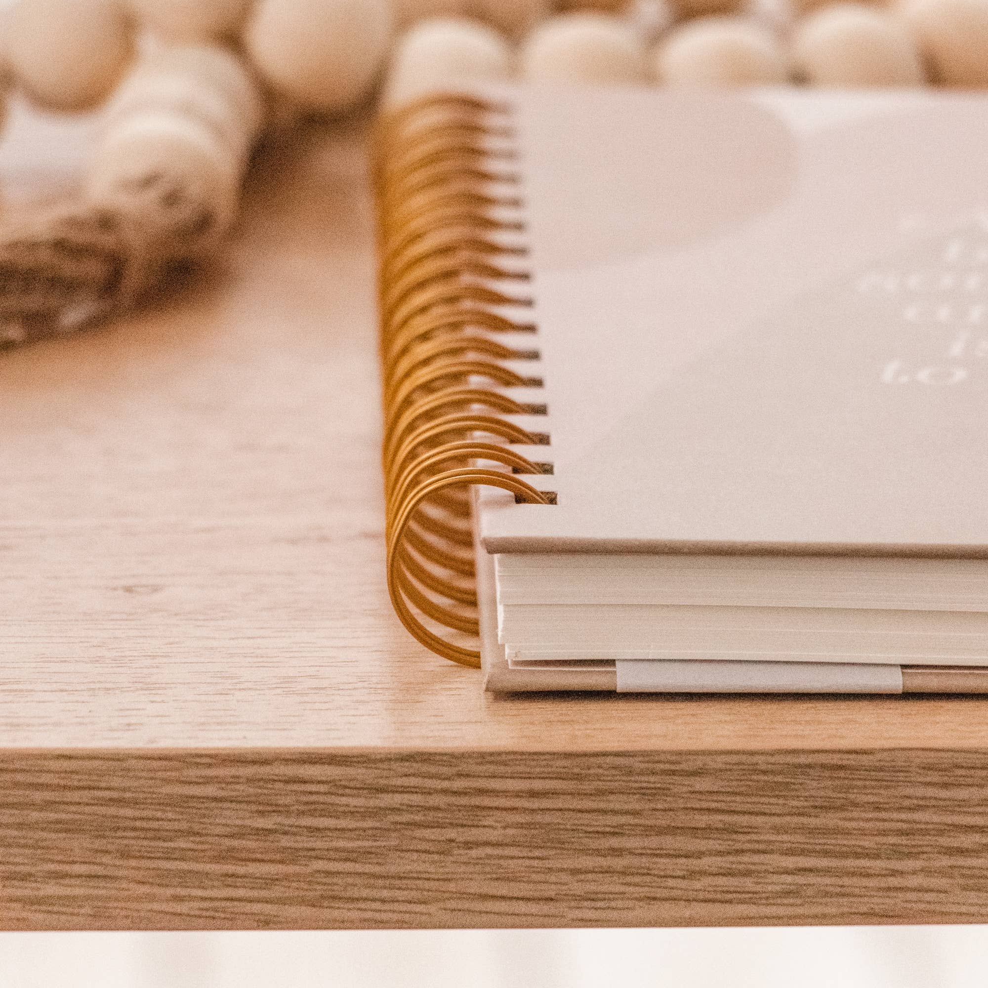 The Anastasia Co – Diário por atacado – Sempre Acredite em Algo Incrível Diário de Capa Dura3