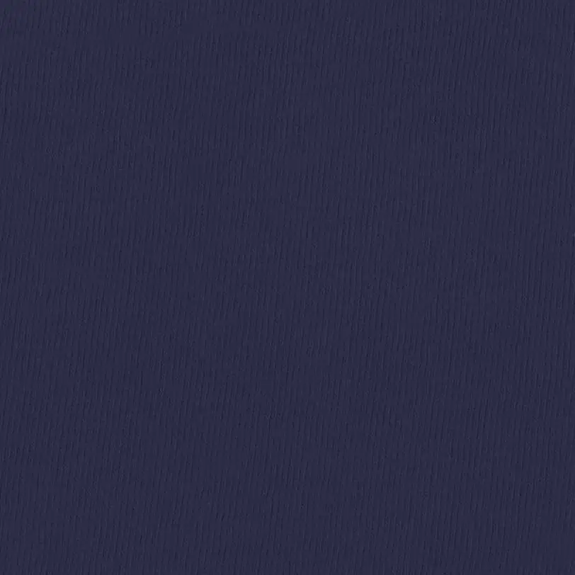 Down South Designer Customs - Wholesale T-shirt – Unisex - Comfort Colors Adult Heavyweight Tee158