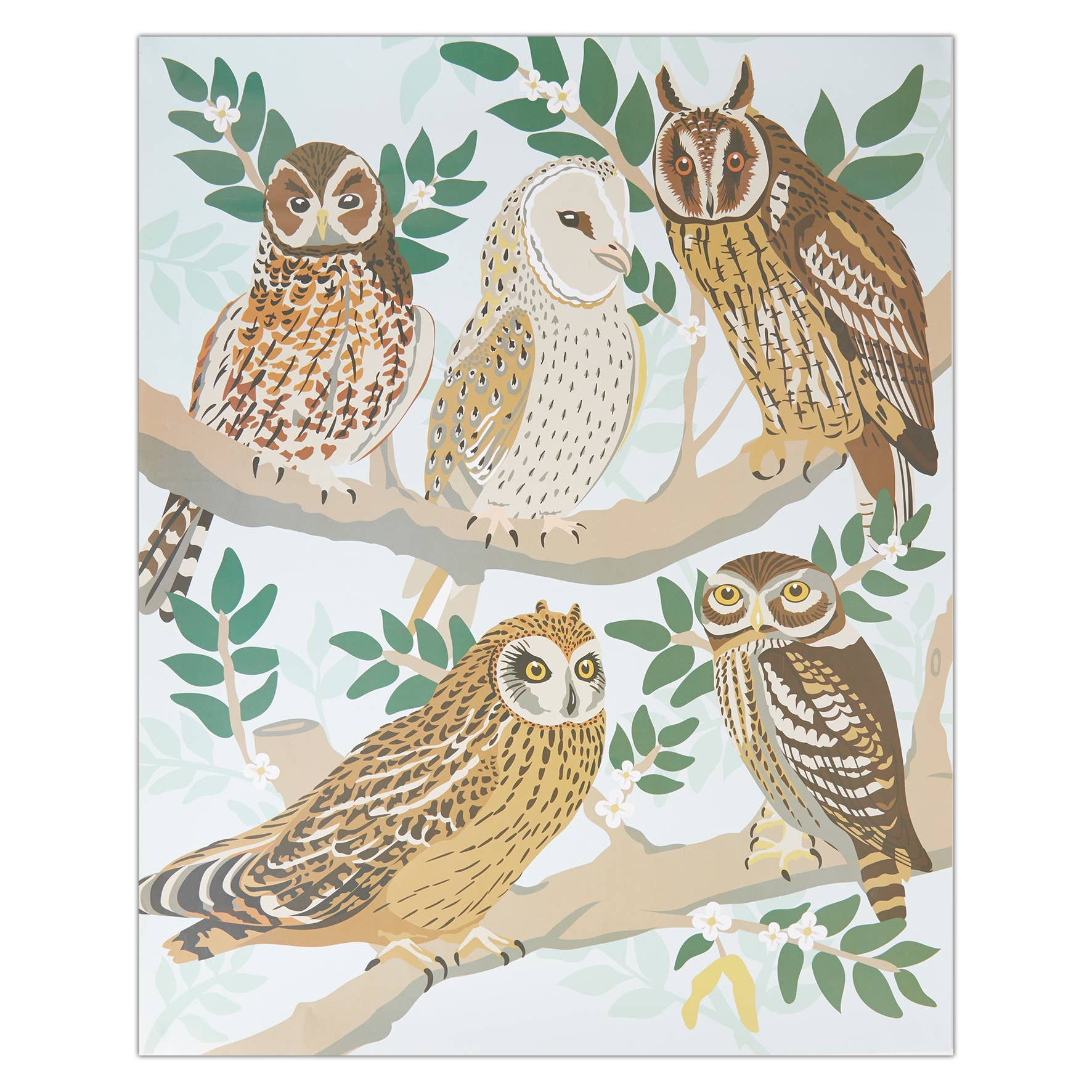 West Design Products – wholesale DIY craft kit – Natural History Museum Paint By Numbers Owls Hanging Kit6