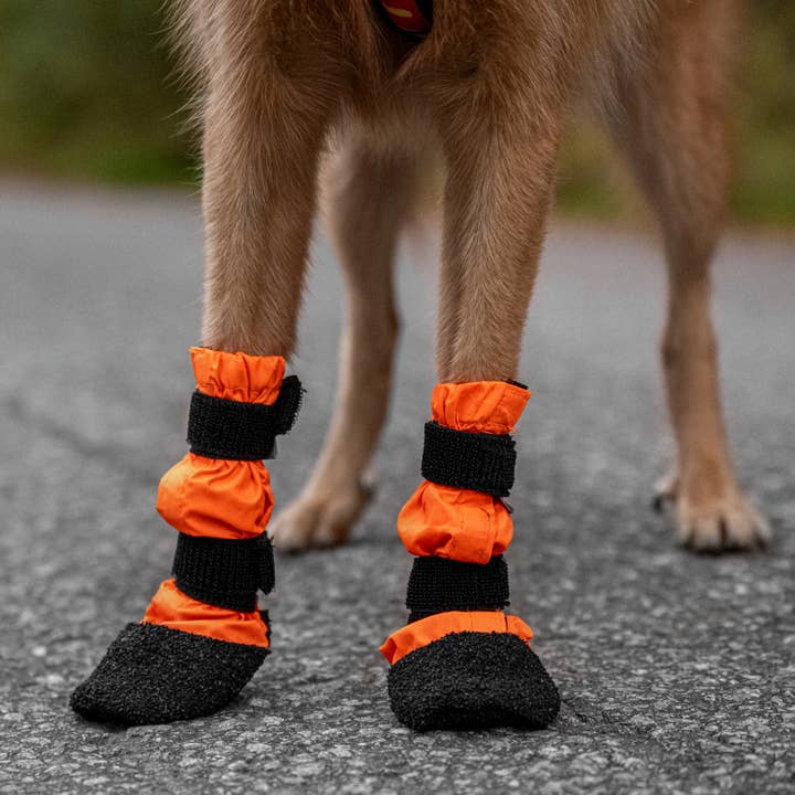 FINNERO - Wholesale Pet Boots - Dog - FINNERO SULO Protective Dog Booties 2 pcs/set, Orange4