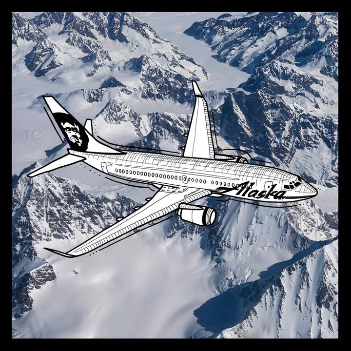 Airplane, 737, Salmon, Boeing, Alaska: Sticker for wholesale by Drawn2adventure