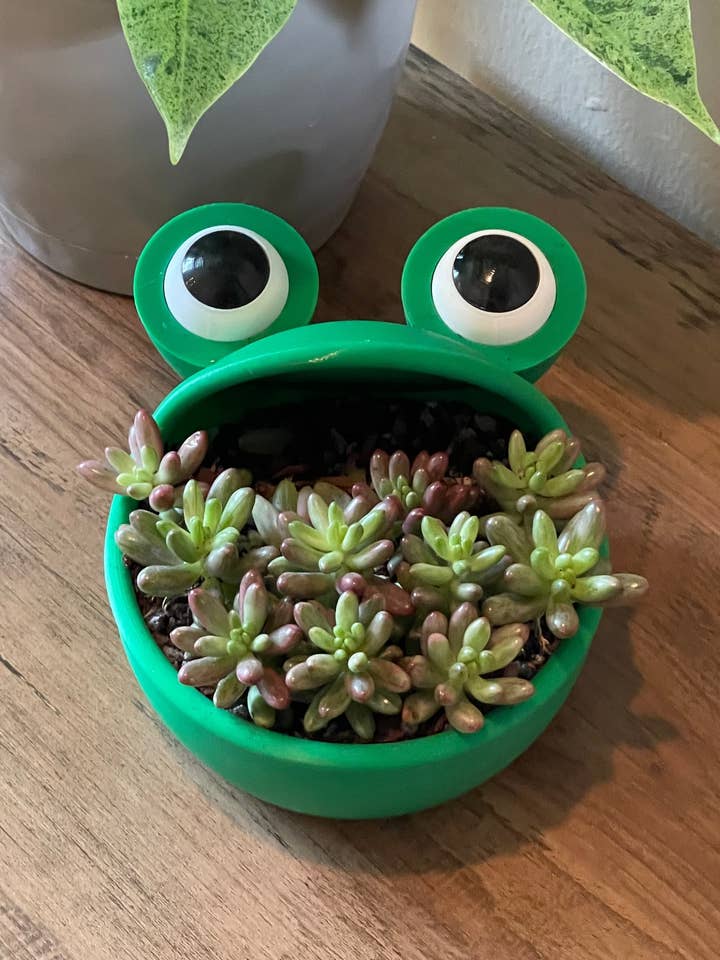 Big Mouth Frog Planter for wholesale by Genetic Designs
