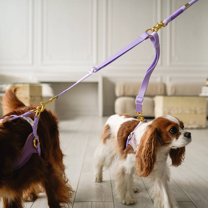 Cavology - Wholesale Pet Leash - Dog - DOG LEASH COUPLER SPLITTER MULTI DOG ATTACHMENT PASTEL COLOR11