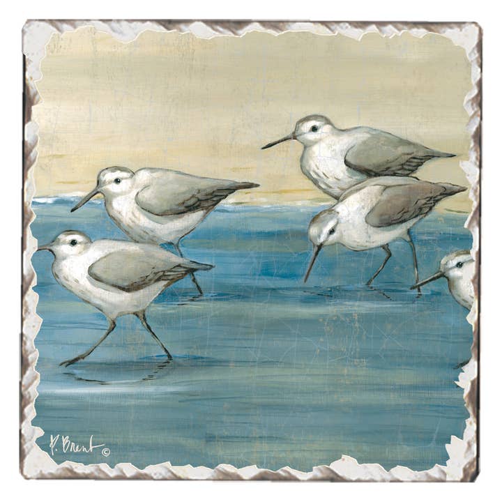 CounterArt/Highland Home/Thirstystone/CoasterStone - Wholesale Retailer Display - Home & Living - Beach Vibes Pre-Pack Single Coaster Display