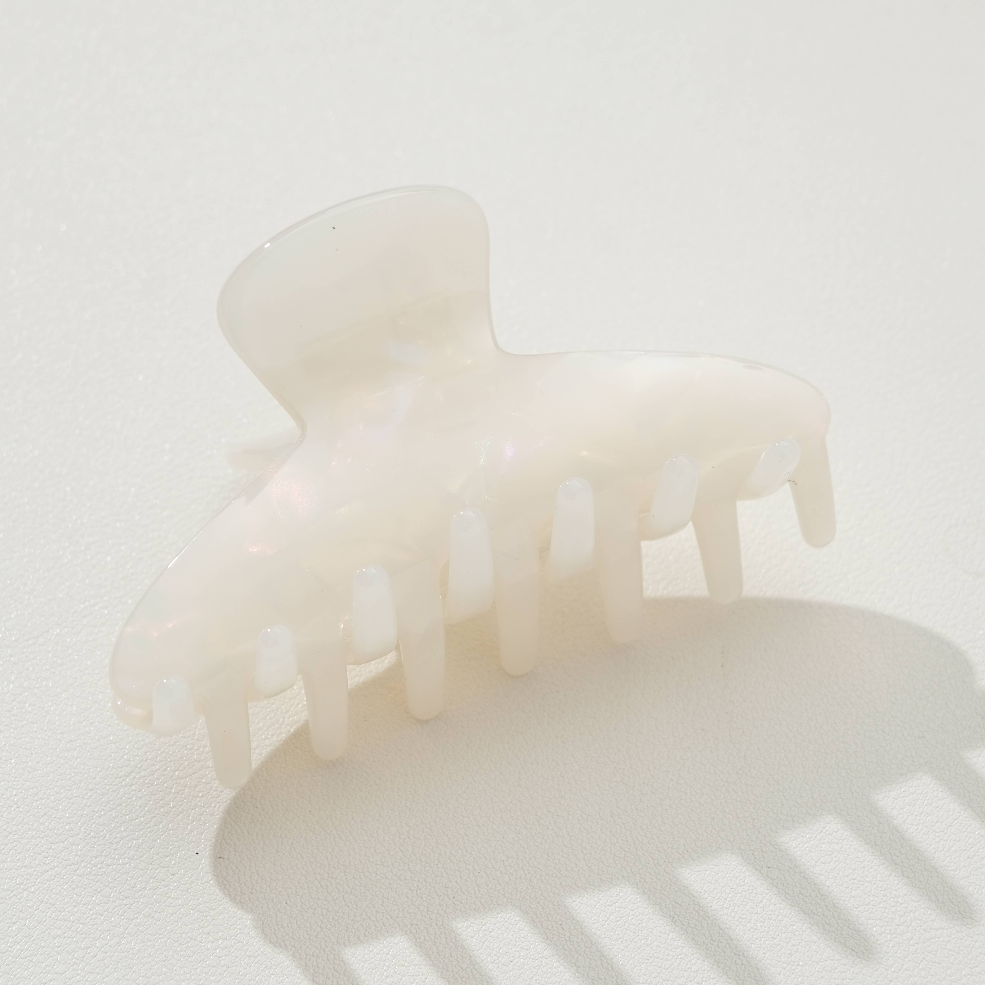 Assorted Adrienne Core | Medium Classic Curved Claw Clip for wholesale on Faire2