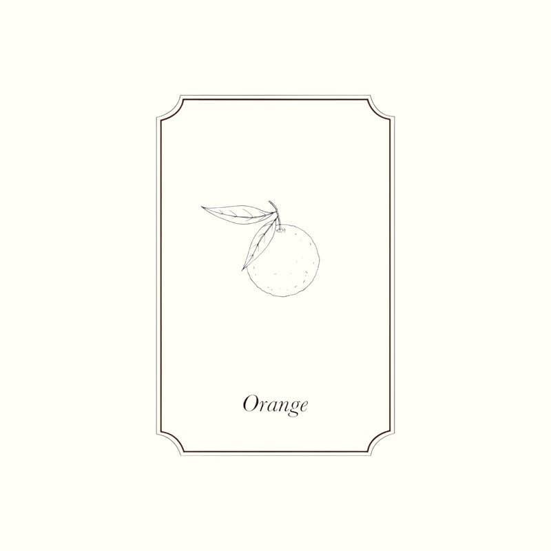 Napiers - Venta al por mayor Aceite esencial - Aceite esencial de naranja dulce Napiers1