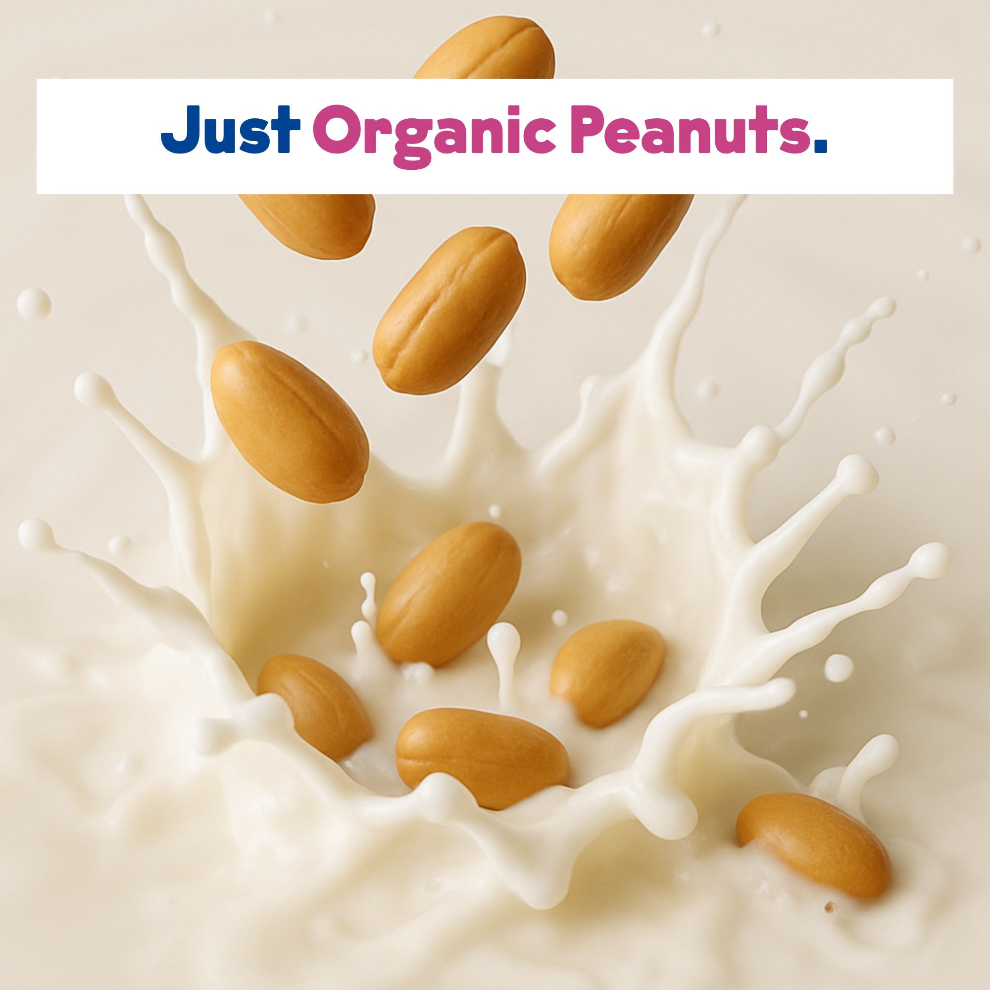 JOI - Wholesale Non-Dairy Milk - Organic Peanut Base4