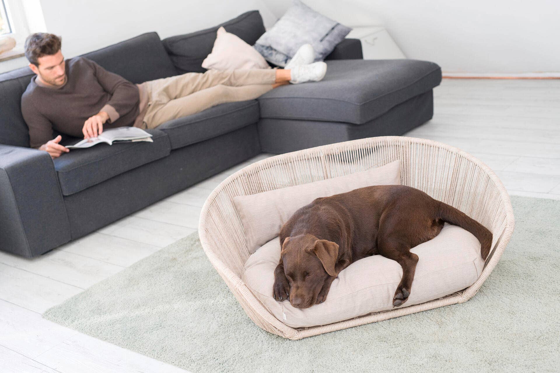 LABONI - Volentis GmbH - Wholesale Pet Bed - Dog - Vogue Design Smooth Dog Bed Collection8