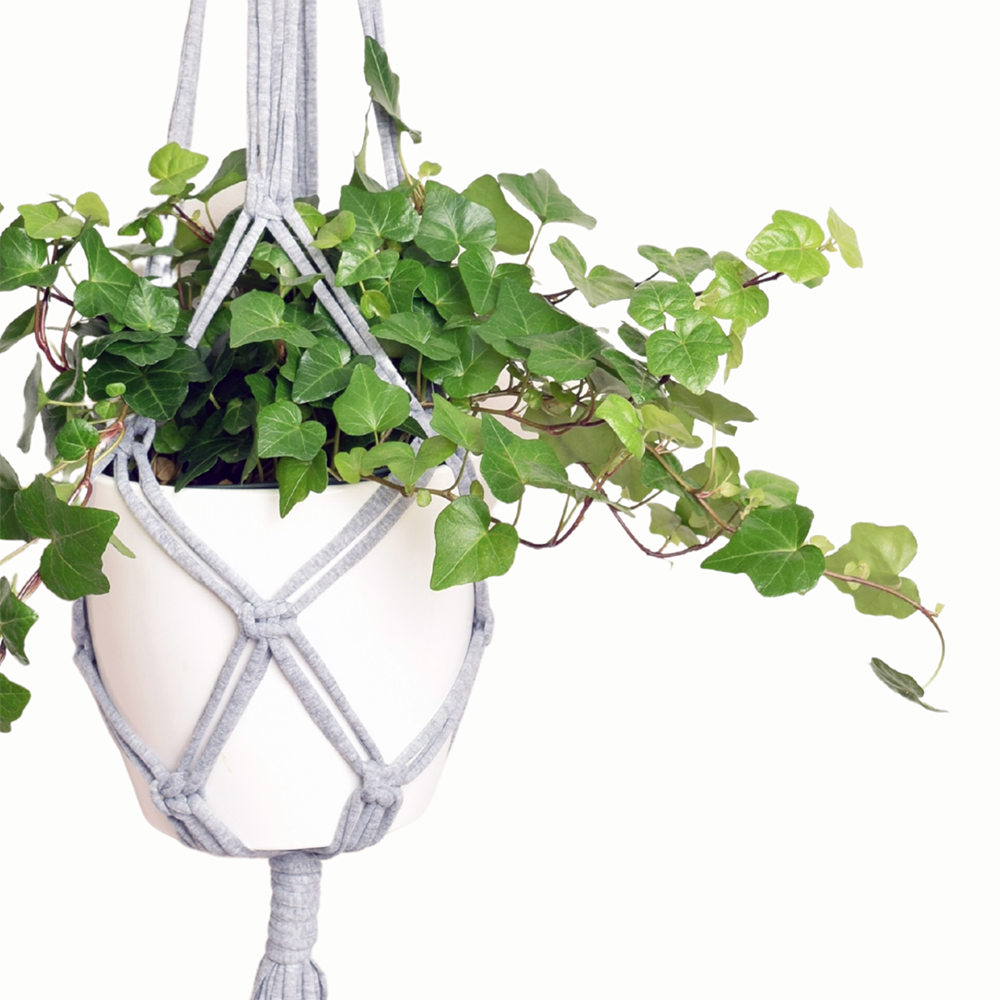 Shreds + rerope - Wholesale DIY Craft Kit - Eco DIY Macrame Plant Hanger Kit29