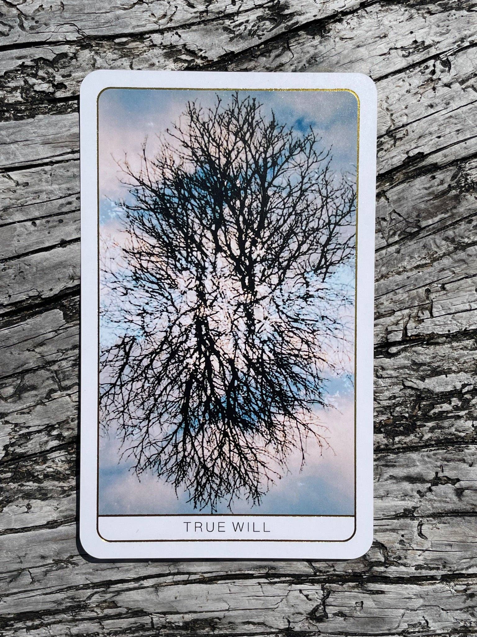 Death Doula Oracle - Wholesale Tarotkaarten - Death Doula Oracle-kaarten13