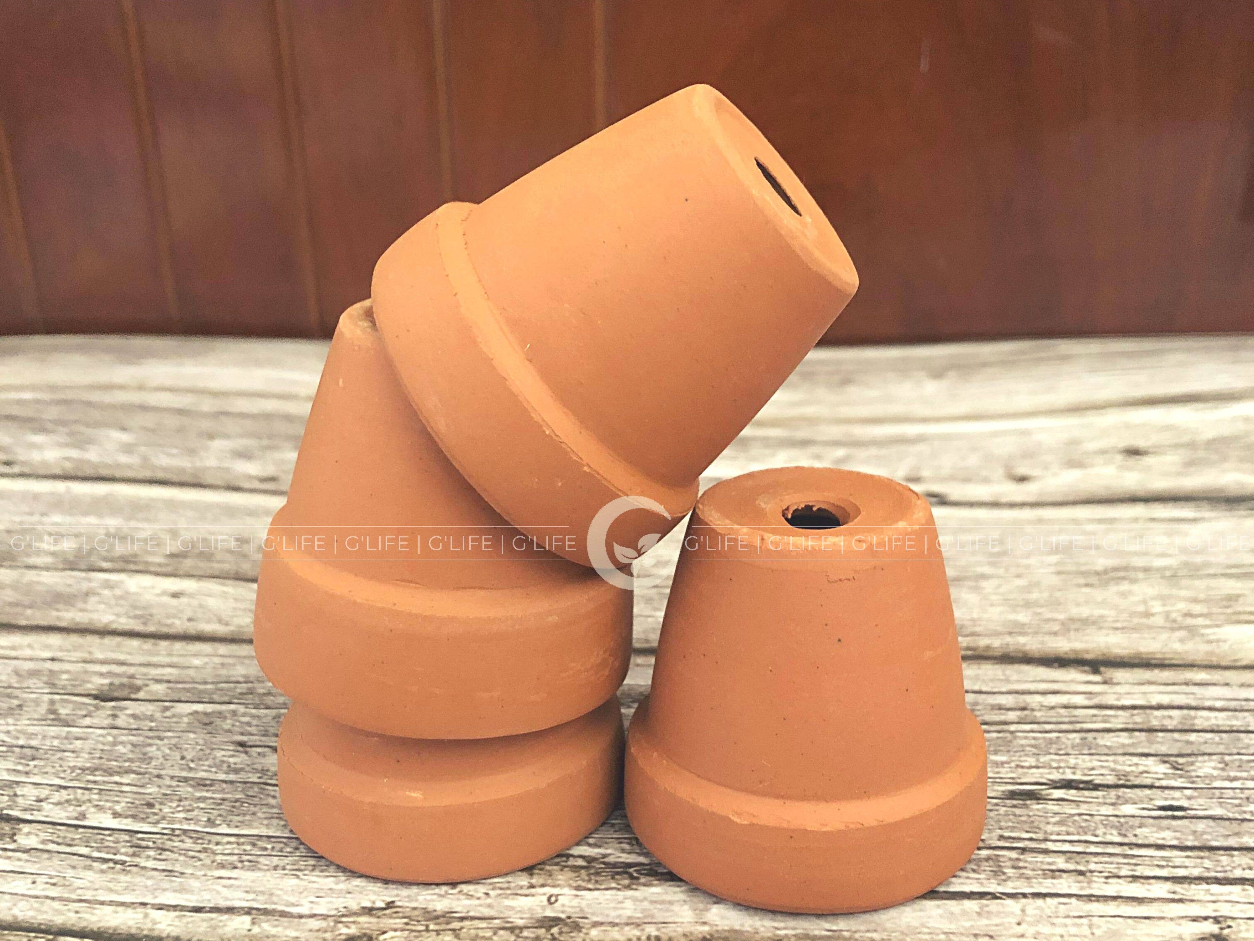 GLifee - Wholesale Plant Pot - 2" Tiny Terracotta Clay Plant Flower Pot - Drainage Hole8