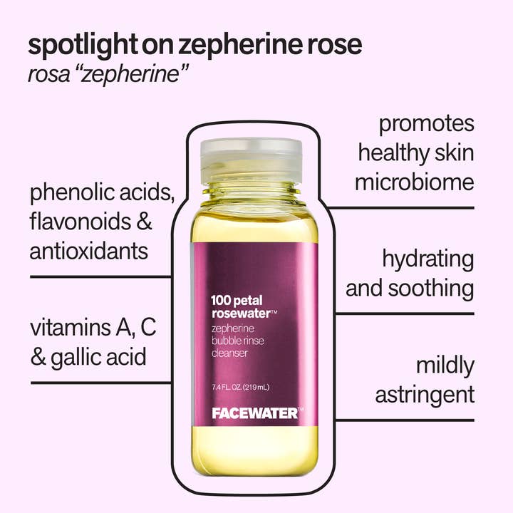 Plant Beauty Distillery - Wholesale Facial Cleanser - 100 Petal Rosewater Zepherine Bubble Rinse Cleanser