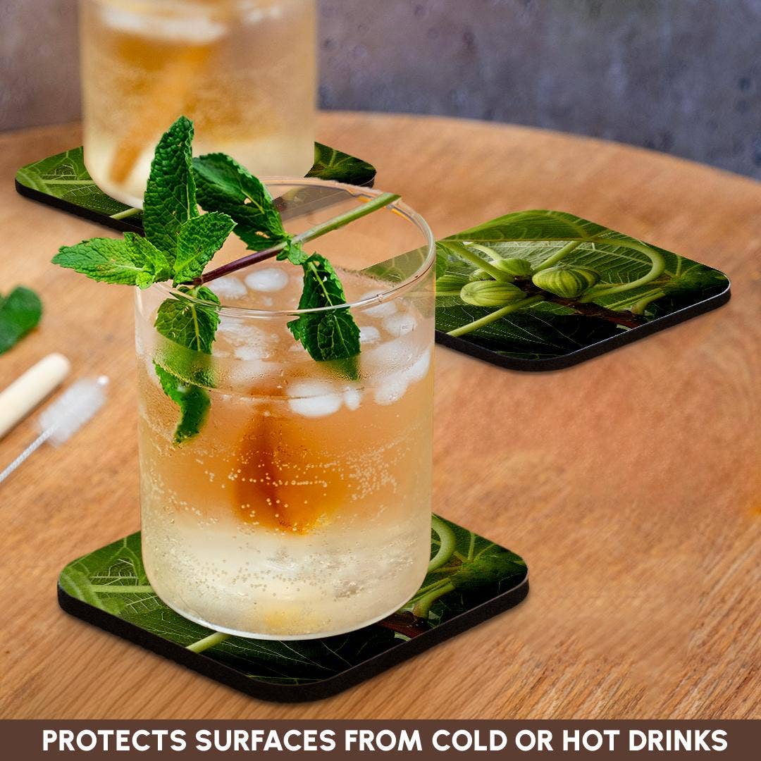 3dRose - Wholesale Coasters - 3dRose, A close up photograph of fig fruit on a common fig tree, Coaster9