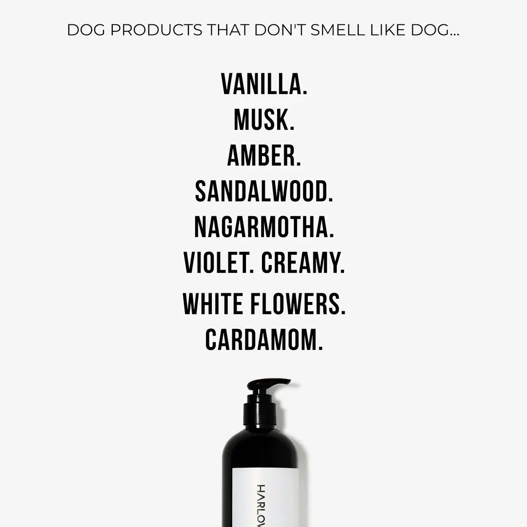 HARLOW HARRY - Wholesale Pet Shampoo - Dog - 2-in-1 Conditioning Dog Shampoo | Bellevue 1623