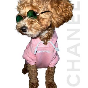 Wholesale Classic dog sweater modern pet shop wholesale luxury dog