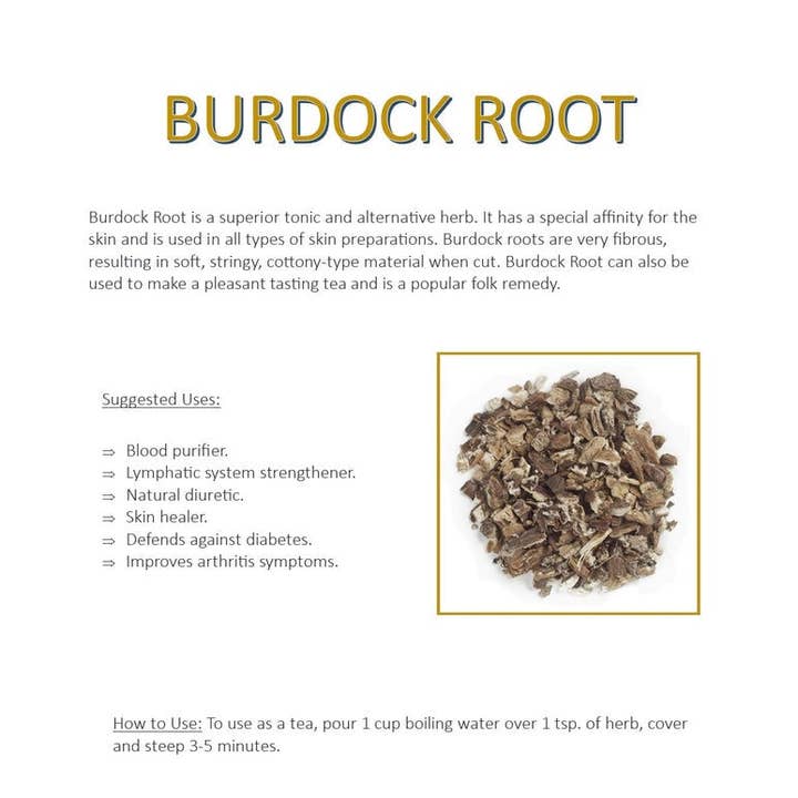 WHOLIFECO - Wholesale Herbs - Burdock Root1
