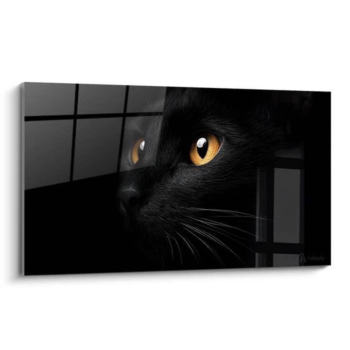 Schwarze Katze mit Bernsteinaugen - Mysteriöser Blick - Bombay-Katze Edition für den Großhandel von Walensky