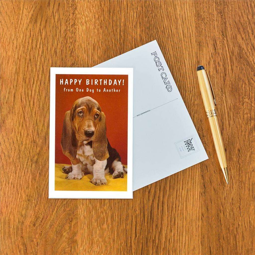 Found Image Press - Wholesale Postcard - Postcard HB-221 Happy Birthday, Basset Hound1