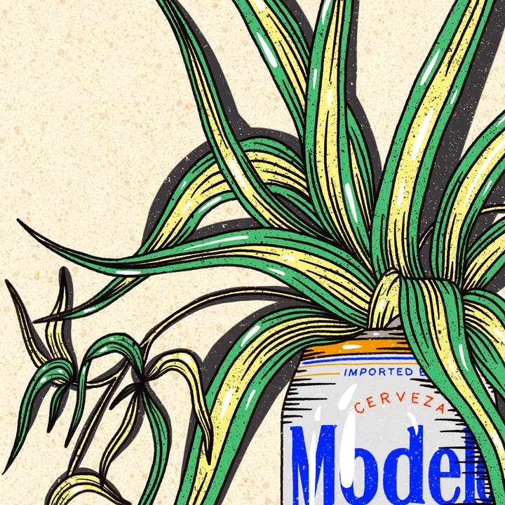 Howdy Studio - Wholesale Art Print - Modelo Beer Can1