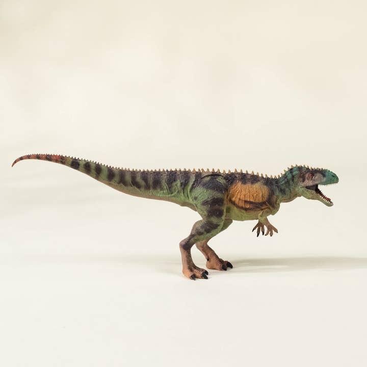 Coco Village - Wholesale Figurine toy – Kids - Tyrannosaurus Rex Dinosaur in a Collectible Box5