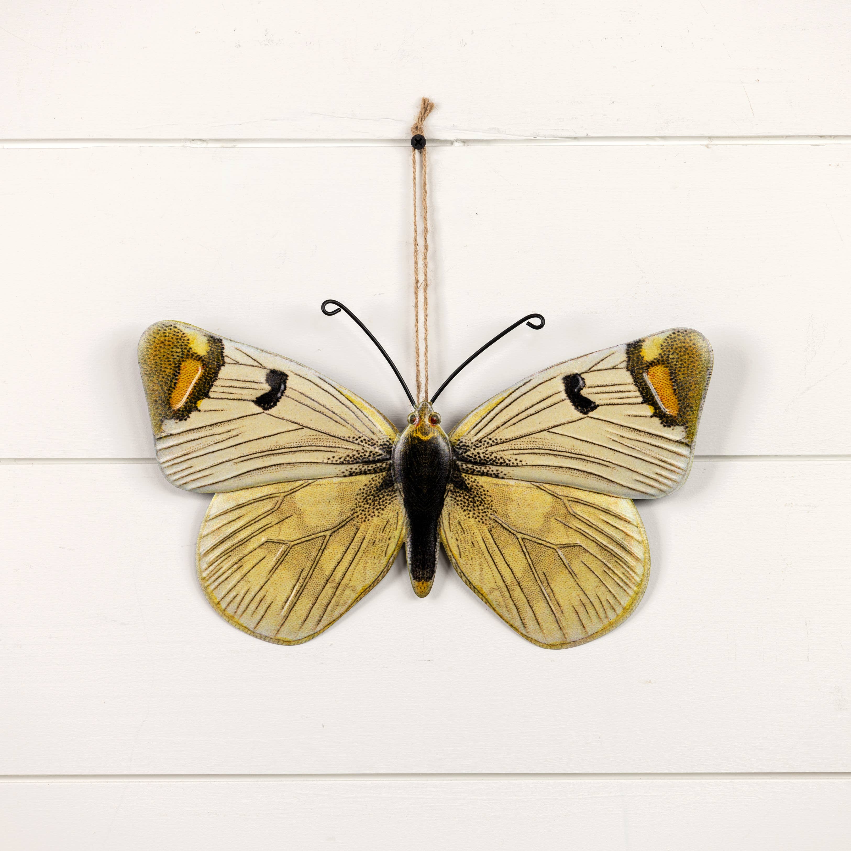 Ragon House - Wholesale Wall Accent - 12" MOTH1