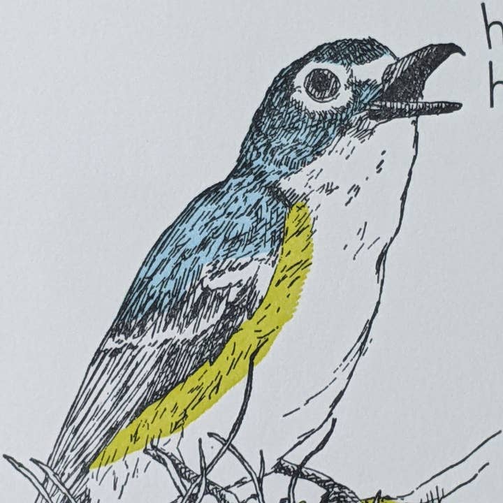 Painted Tongue Press - Wholesale Birthday Card - Lichen Birthday and Blank Note Card2