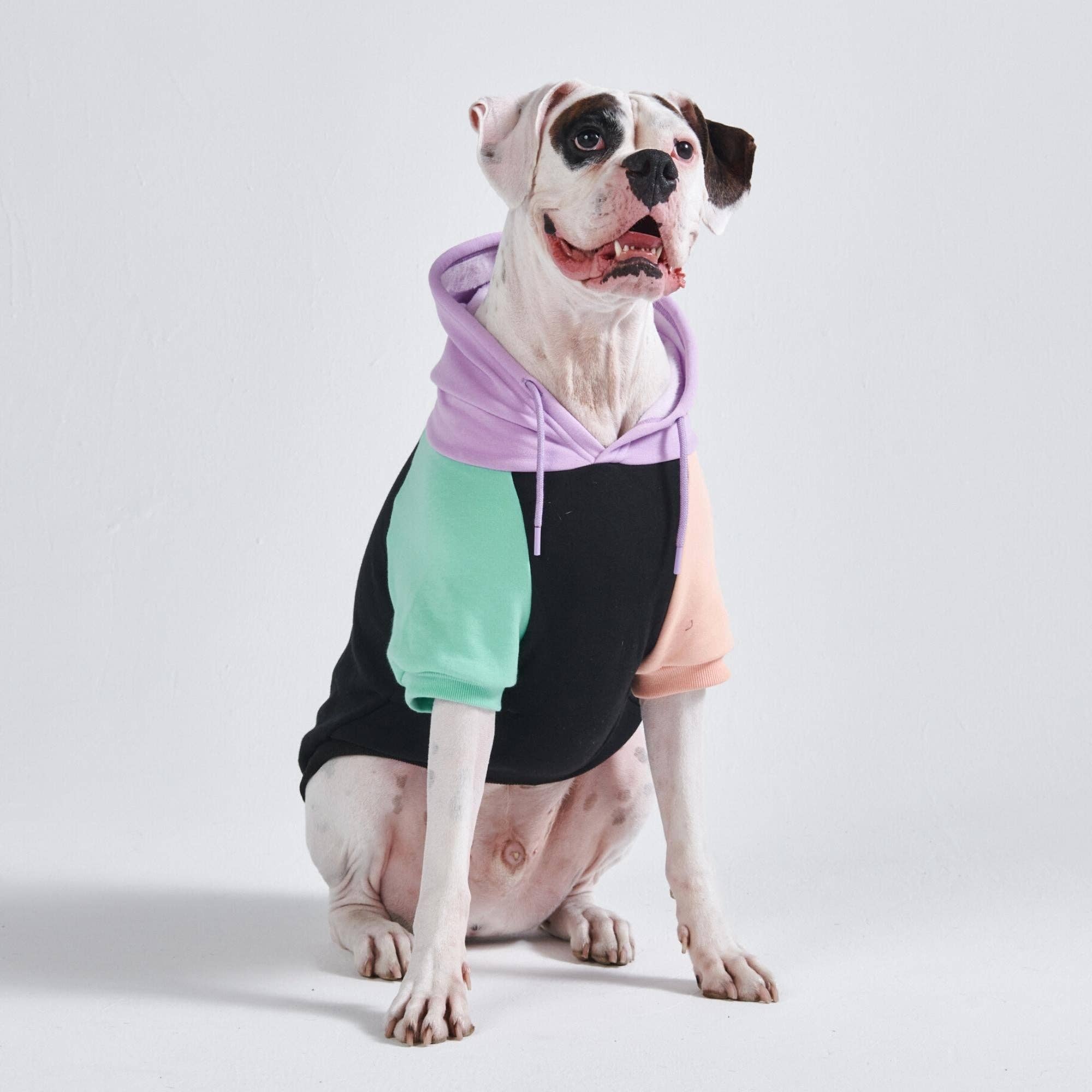 【XU DOG】check hood shirt COSYHARU 受注制【Never mind the XU】check hood shirt / 【ネバー