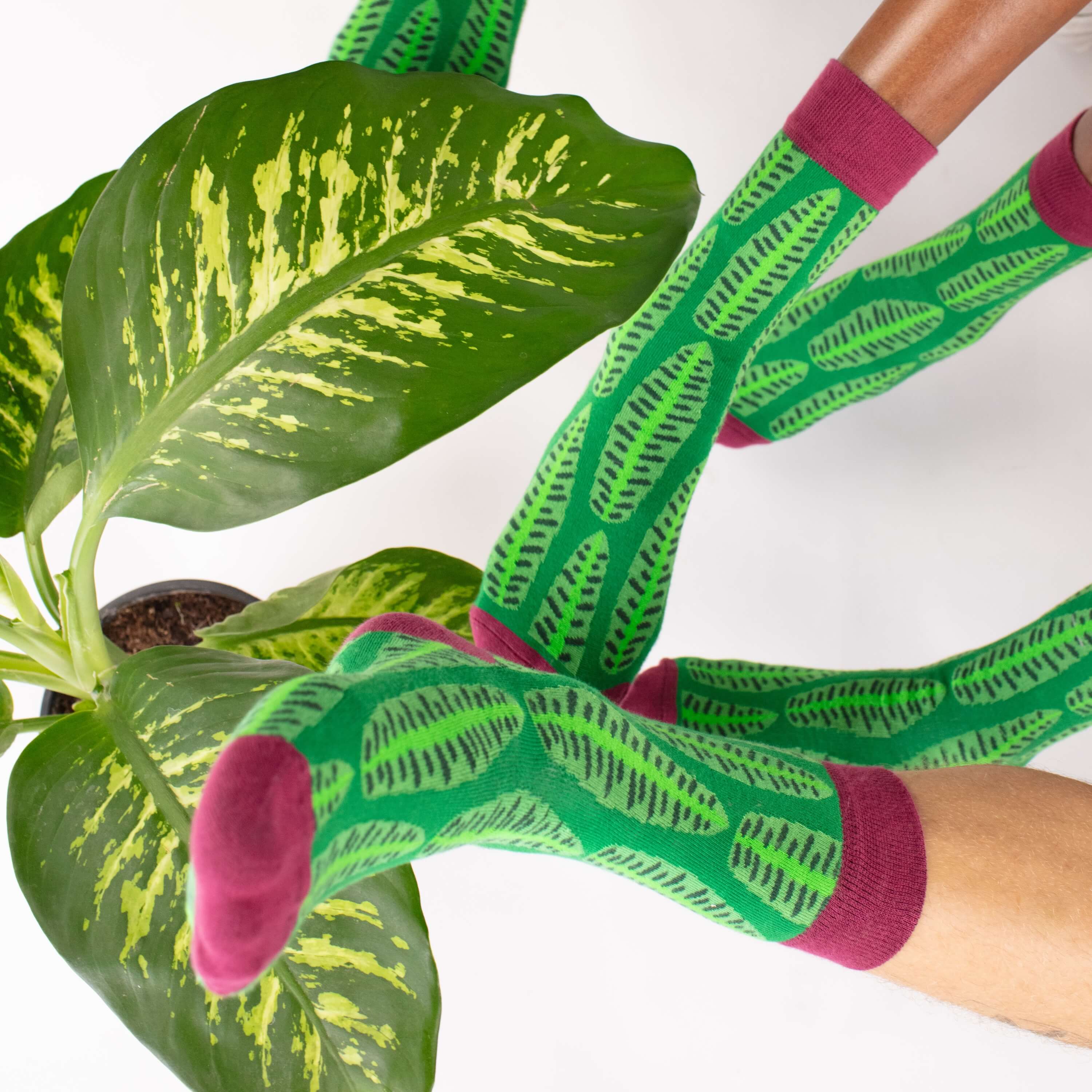 Arte Do Pé - Wholesale Socks - Unisex - Green Leaves Premium Artist Socks6