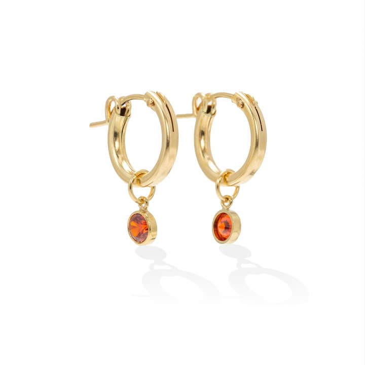 Lover's Tempo Jewelry - Wholesale Hoop Earrings - Birthstone Gold-Filled Hoop Earrings