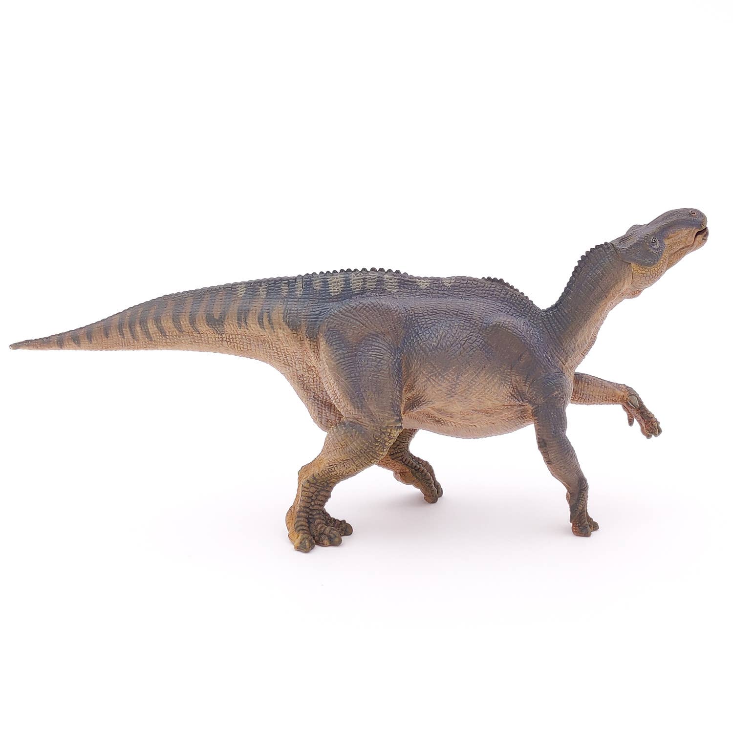 Papo - Wholesale Figurine Toy - Kids - Iguanodon5