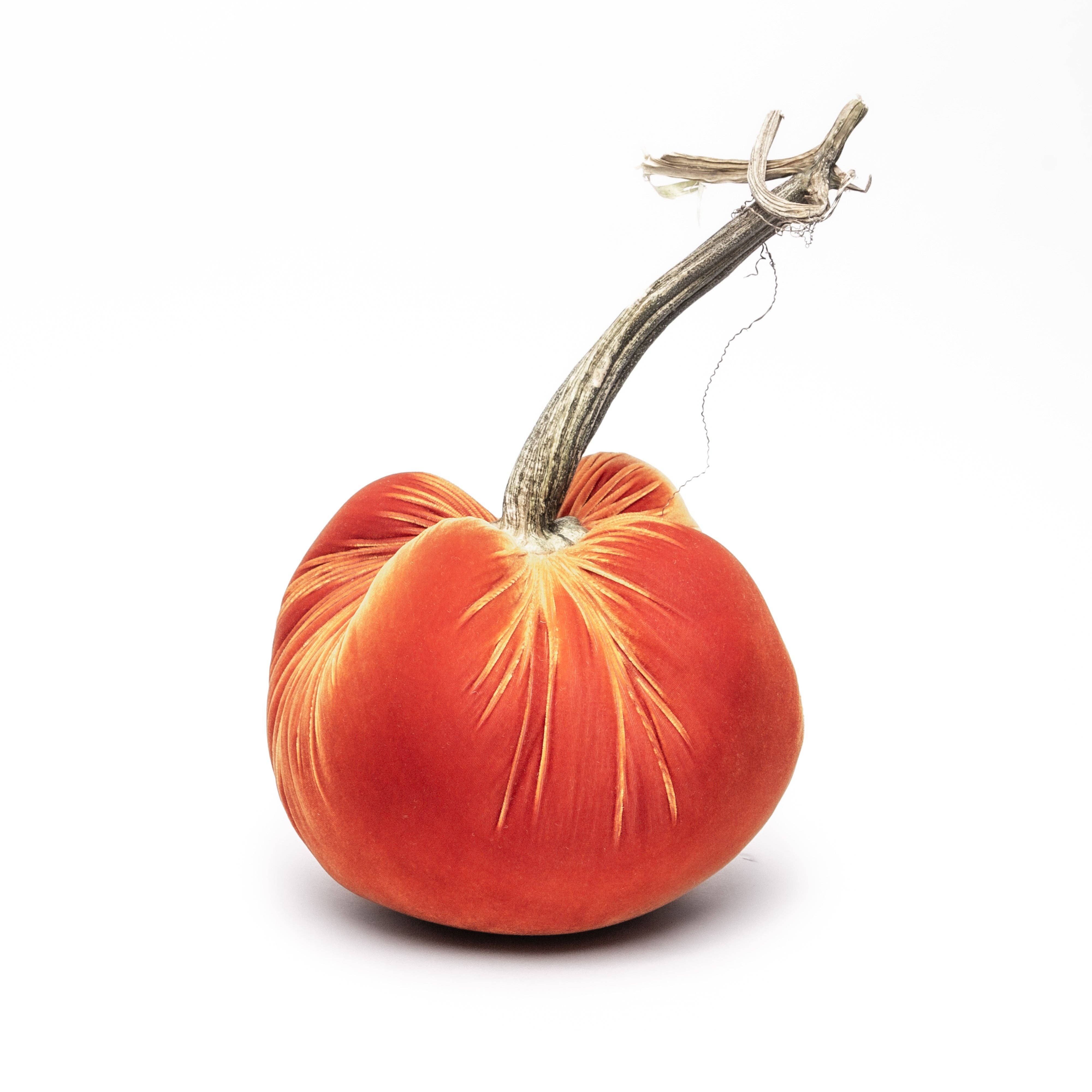 Hot Skwash - Wholesale Decorative Tabletop Object - Persimmon Silk Velvet Pumpkin1