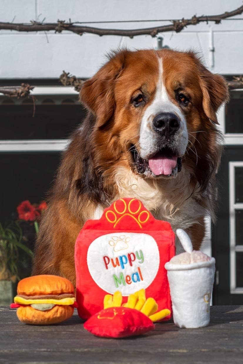 PawStory - Wholesale Pet Plush Toy - Dog - Snuffles - Big Puppy Meal 3-in-13