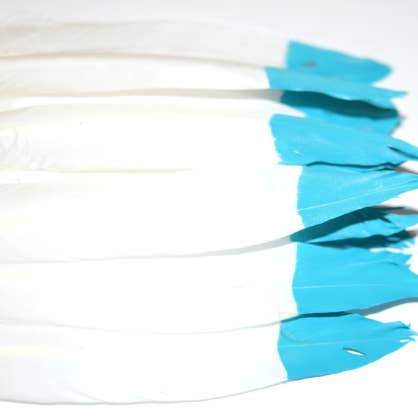 50 Blue Tipped Duck Feathers for wholesale by Knot Treasures
